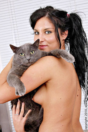 Click to see more of LittleGray Bettina DiCapri